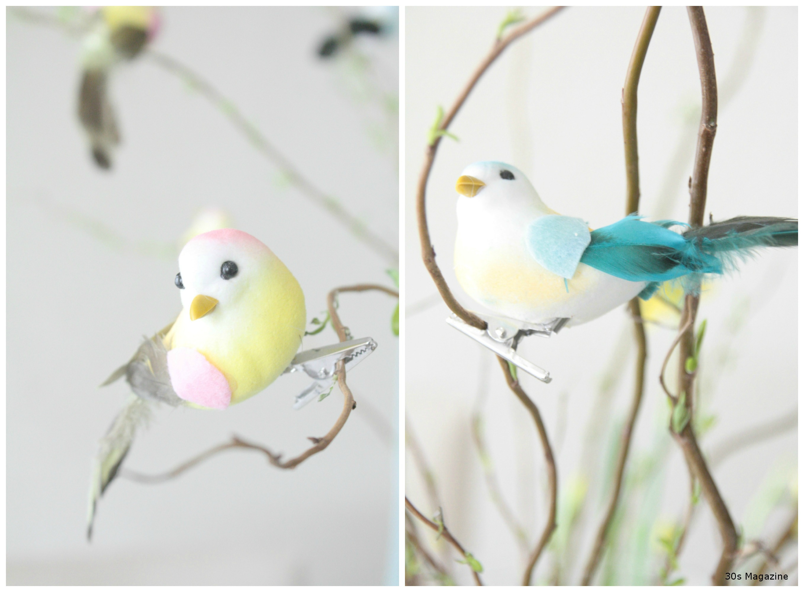 30s Magazine clipping birds